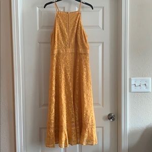 Antonio Melani Heinrich Lace Midi Dress